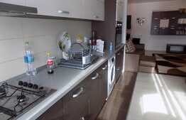 3 camere, 61 mp, mobilat si utilat, loc de parcare, zona Terra!