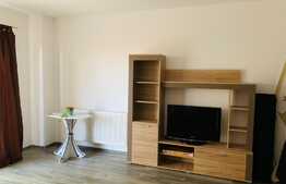 Apartament 2 camere, decomandat, gradina,Pet Friendly, 60 mp, parcare subterana, zona Grand Park Residence