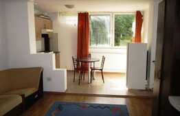 De vanzare garsoniera, 28 mp, boxa, zona strazii Parang