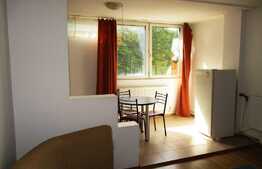 De vanzare garsoniera, 28 mp, boxa, zona strazii Parang