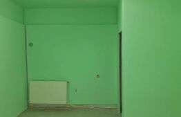 Spatiu de birouri, 20 mp, zona strazii Horea