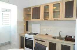 Apartament 1camera, 42 mp, zona Piata Cipariu