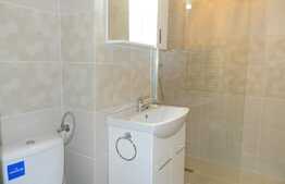 Apartament 1camera, 42 mp, zona Piata Cipariu