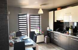 Apartament cu 3 camere, 55 mp,terasa 54 mp, zona strazii Sub Cetate!