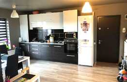 Apartament cu 3 camere, 55 mp,terasa 54 mp, zona strazii Sub Cetate!