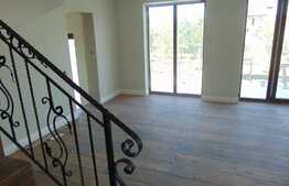 Oportunitate! Casa individuala, 167 mp, teren 1000 mp, zona linistita