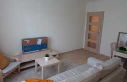 Apartament 2 camere, decomandat, 45 mp, zona Piata Mihai Viteazu