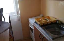 De vanzare garsoniera 21 mp,  zona Stadion CFR