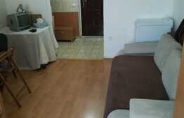 De vanzare garsoniera 21 mp,  zona Stadion CFR