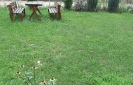 3 camere, 60 mp, terasa de 20 mp! Gradina de 60 mp! Zona strazii Somesului!