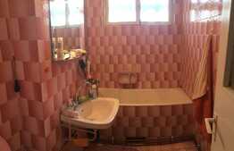 Apartament 2 camere, 50 mp, balcon, zona Complex Diana