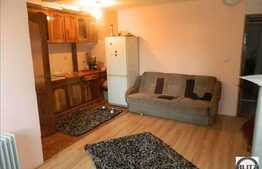 Apartament la demisol cu 1 camera, 27 mp, zona strazii Teilor