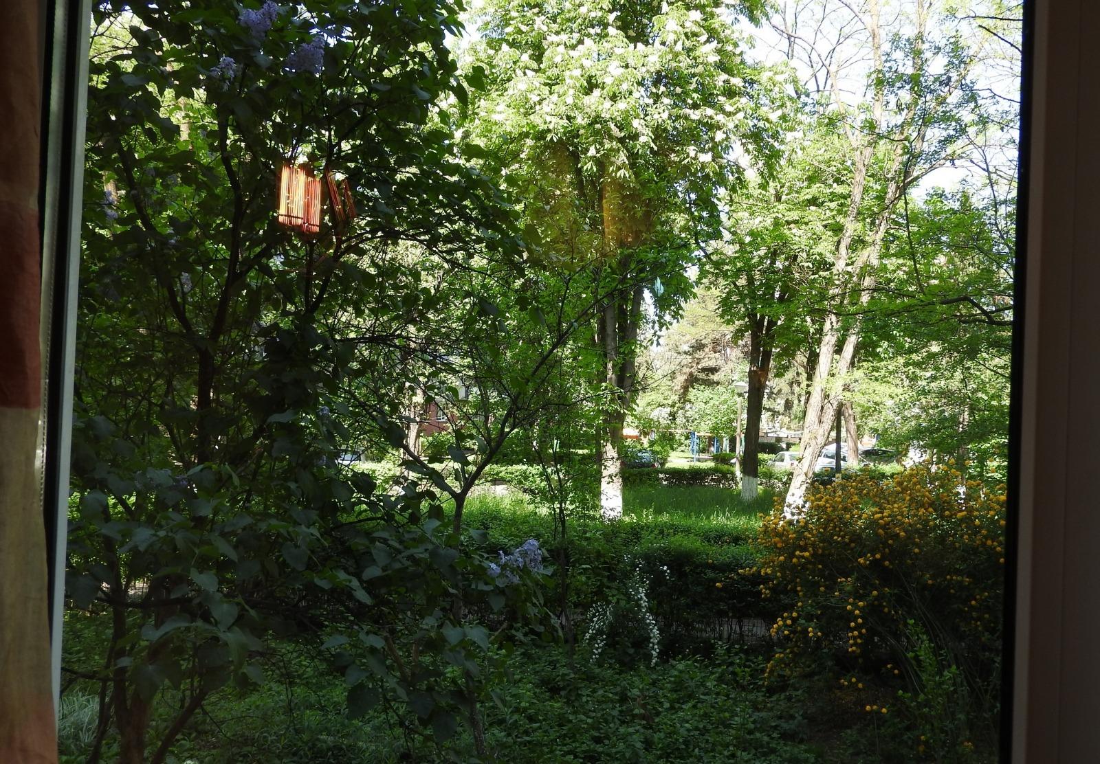 Apartament de vânzare 2 camere Gheorgheni - 32420AV | BLITZ Cluj-Napoca | Poza10