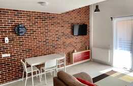 Apartament 2 camere, 55 mp, modern, terasa 12 mp, zona strazii Campului