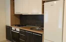 Apartament 2 camere, 55 mp, modern, terasa 12 mp, zona strazii Campului