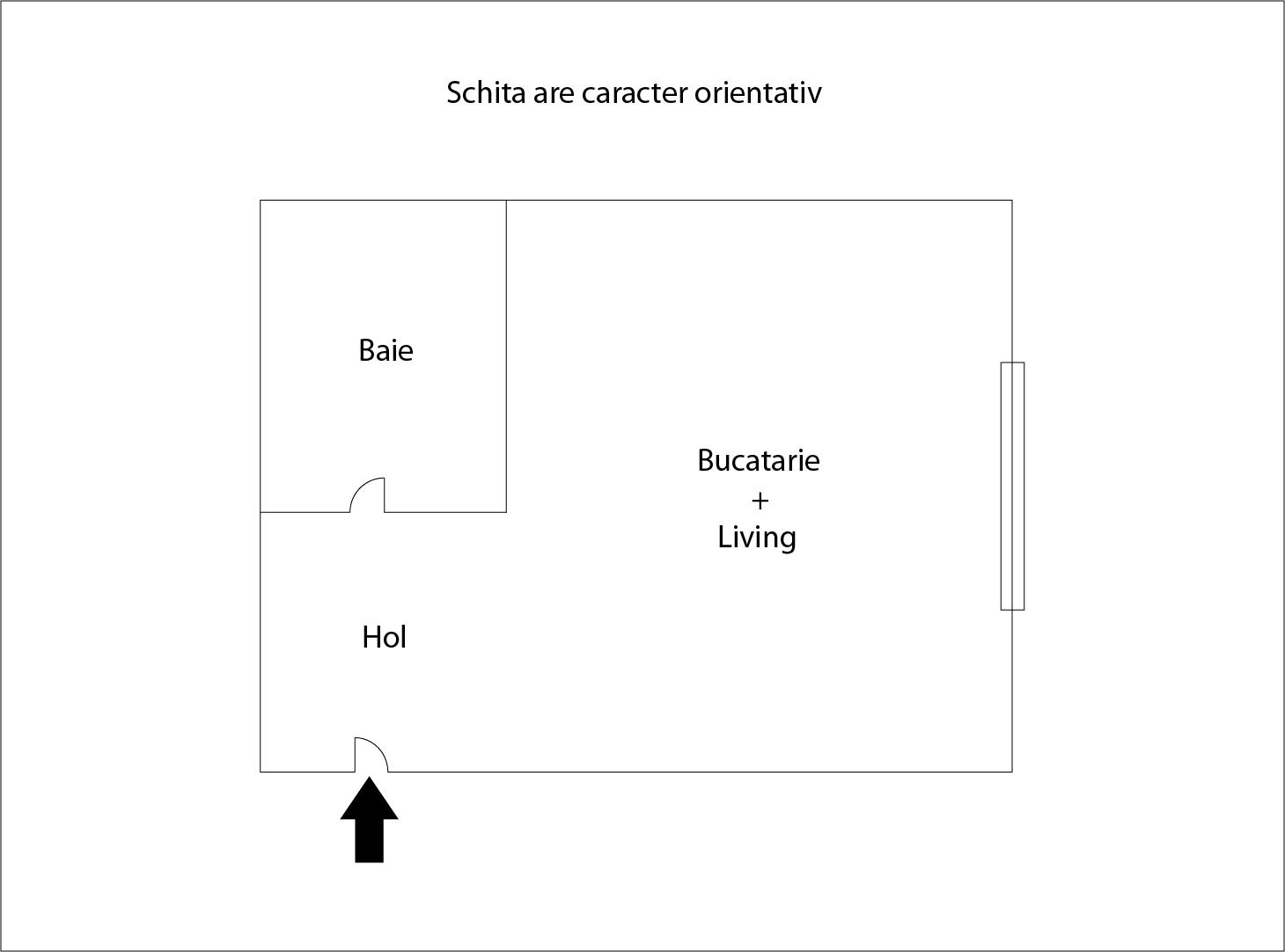 Garsonieră de vânzare Grigorescu - 32426AV | BLITZ Cluj-Napoca | Poza1