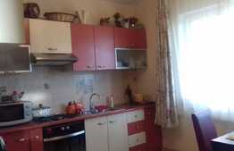 Duplex cu 4 camere, 240 mp utili, teren de 250 mp! 