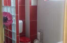 Duplex cu 4 camere, 240 mp utili, teren de 250 mp! 