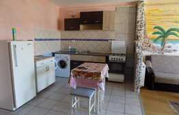 Oportunitate! Apartament cu 2 camere, 52 mp, zona strazii Porii!