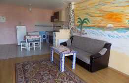 Oportunitate! Apartament cu 2 camere, 52 mp, zona strazii Porii!