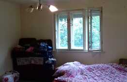 Vanzare casa individuala, 68 mp utili, 1432 mp teren, zona linistita