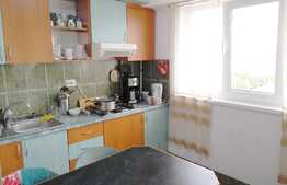 Apartament 2 camere, 50 mp, 2 boxe, zona Iulius Mall