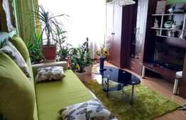 Apartament 2 camere, 50 mp, decomandat, boxa, zona Leroy Merlin