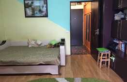 Garsoniera de 32 mp, mobilata, zona Auchan