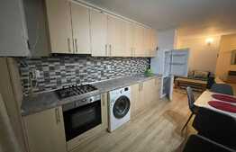 Apartament 2 camere, 50 mp, bloc nou, zona FSEGA