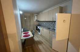 Apartament 2 camere, 50 mp, bloc nou, zona FSEGA