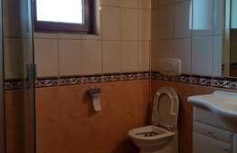 Imobil individual, ideal pentru gradinita, after school, zona strazii Constantin Brancusi!