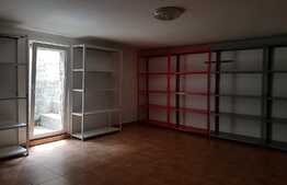 Imobil individual, ideal pentru gradinita, after school, zona strazii Constantin Brancusi!