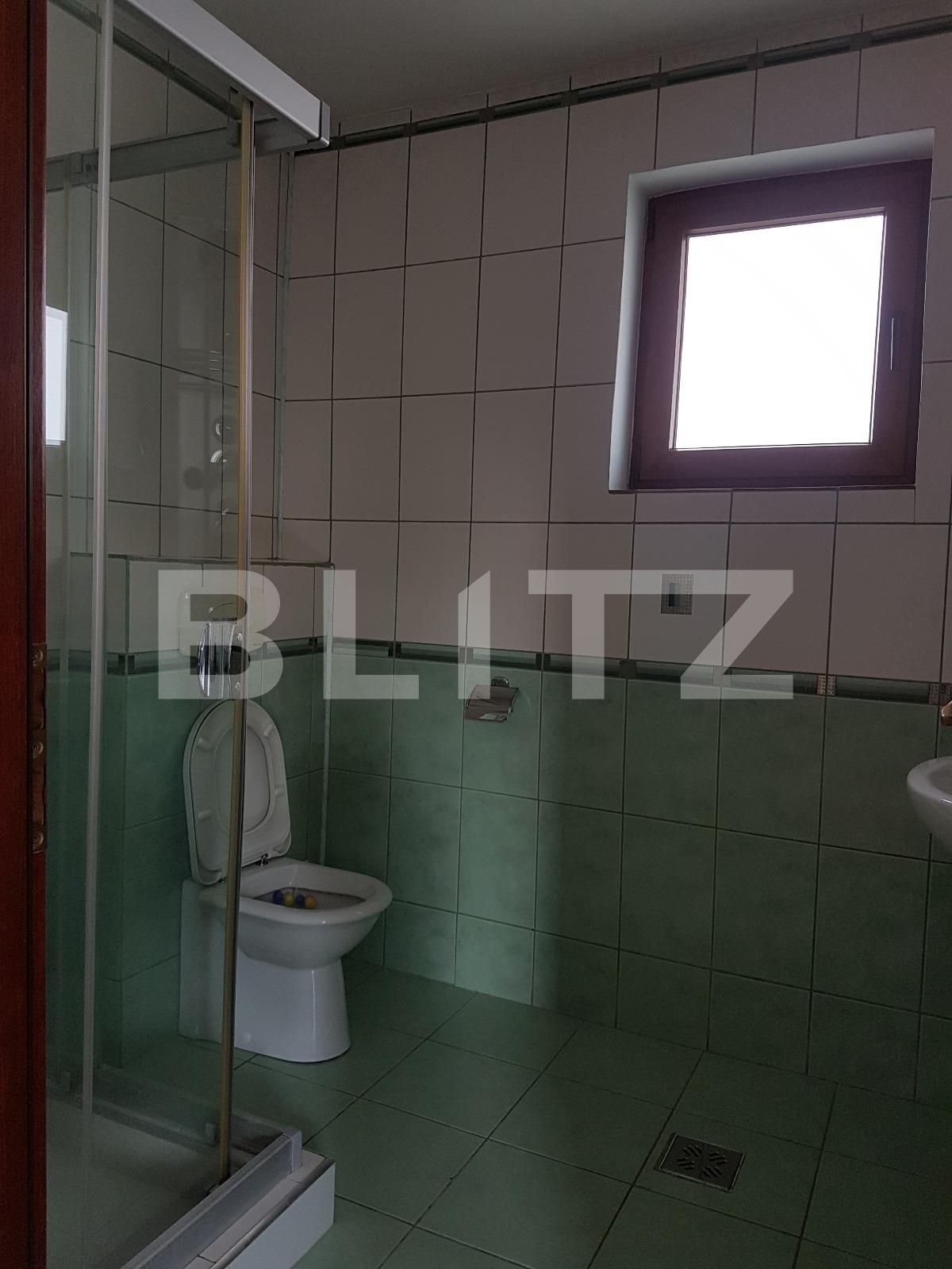 Spațiu birouri de închiriat Gheorgheni - 32488SIB | BLITZ Cluj-Napoca | Poza10