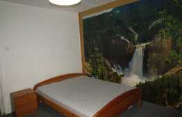 Garsoniera, 28 mp, zona Complex Mercur