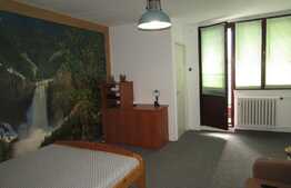 Garsoniera, 28 mp, zona Complex Mercur