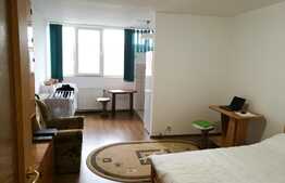 De vanzare garsoniera, 28 mp, boxa, zona Expo Transilvania