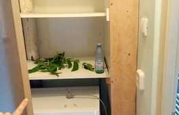 Apartament 4 camere, 86 mp, boxa, zona Iulius Mall