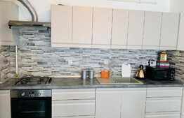 Apartament 4 camere , parcare, terasa, gradina 120 mp, Donath Park