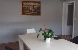 Casa individuala finisata, 280 mp utili, teren 400 mp, pentru scoala, sediu firma, locuit, zona strazii Paris!