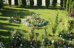 Casa de vanzare, 405 mp, teren 1500, front 15 ml, zona strazii Campului