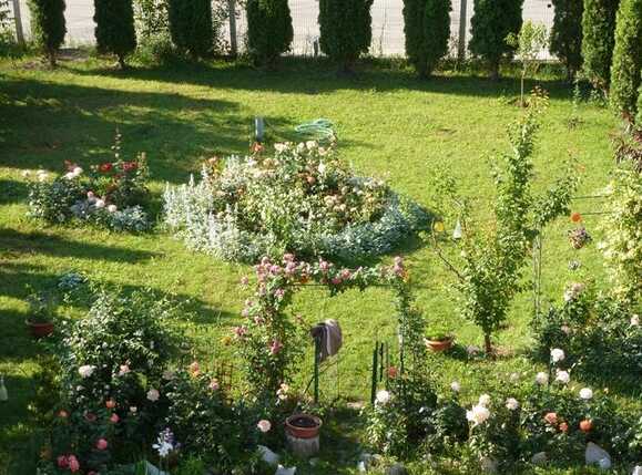 Casa de vânzare 7 camere Manastur - 32551CV | BLITZ Cluj-Napoca | Poza14