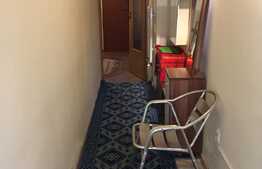 Esti in cautarea unei garsoniere dar iti doresti si putina curte? 