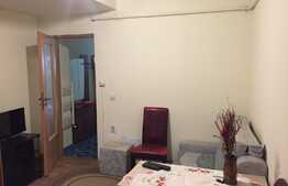 Esti in cautarea unei garsoniere dar iti doresti si putina curte? 