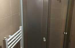 Esti in cautarea unei garsoniere dar iti doresti si putina curte? 