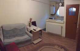 Esti in cautarea unei garsoniere dar iti doresti si putina curte? 