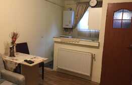 Esti in cautarea unei garsoniere dar iti doresti si putina curte? 