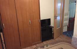 Esti in cautarea unei garsoniere dar iti doresti si putina curte? 