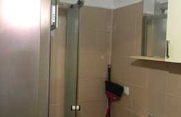 Esti in cautarea unei garsoniere dar iti doresti si putina curte? 