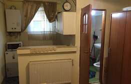 Esti in cautarea unei garsoniere dar iti doresti si putina curte? 