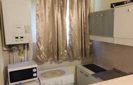 Esti in cautarea unei garsoniere dar iti doresti si putina curte? 